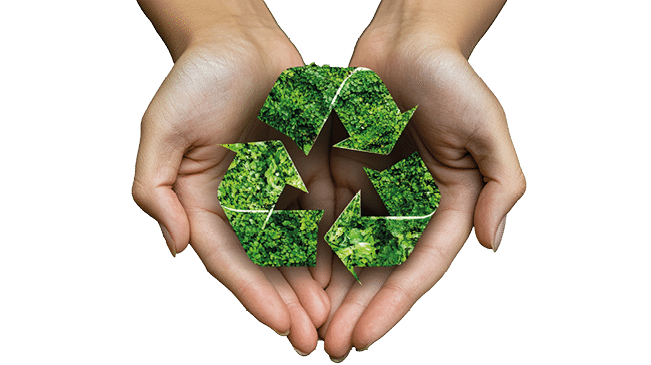 Rectangle