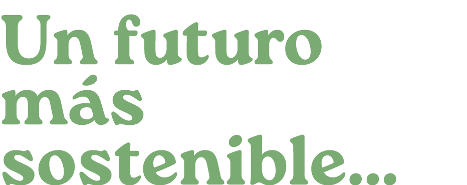 Un futuro m s sostenible...
