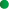 Oval