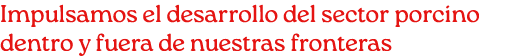 Impulsamos el desarrollo del sector porcino dentro y fuera de nuestras fronteras 