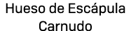 Hueso de Esc pula Carnudo