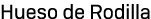 Hueso de Rodilla