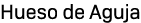 Hueso de Aguja