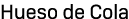 Hueso de Cola