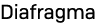 Diafragma