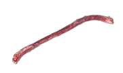 Rectangle