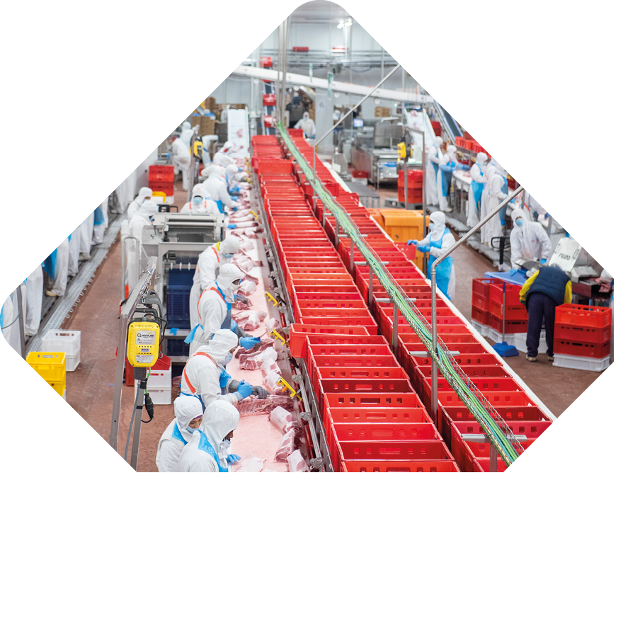 A group of workers wearing white protective suits are working in a factory. Contenido generado con IA