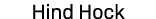 Hind Hock