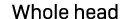 Whole head