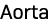 Aorta