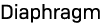Diaphragm