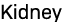 Kidney