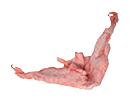 Rectangle