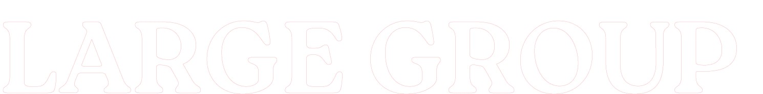 LARGE GROUP