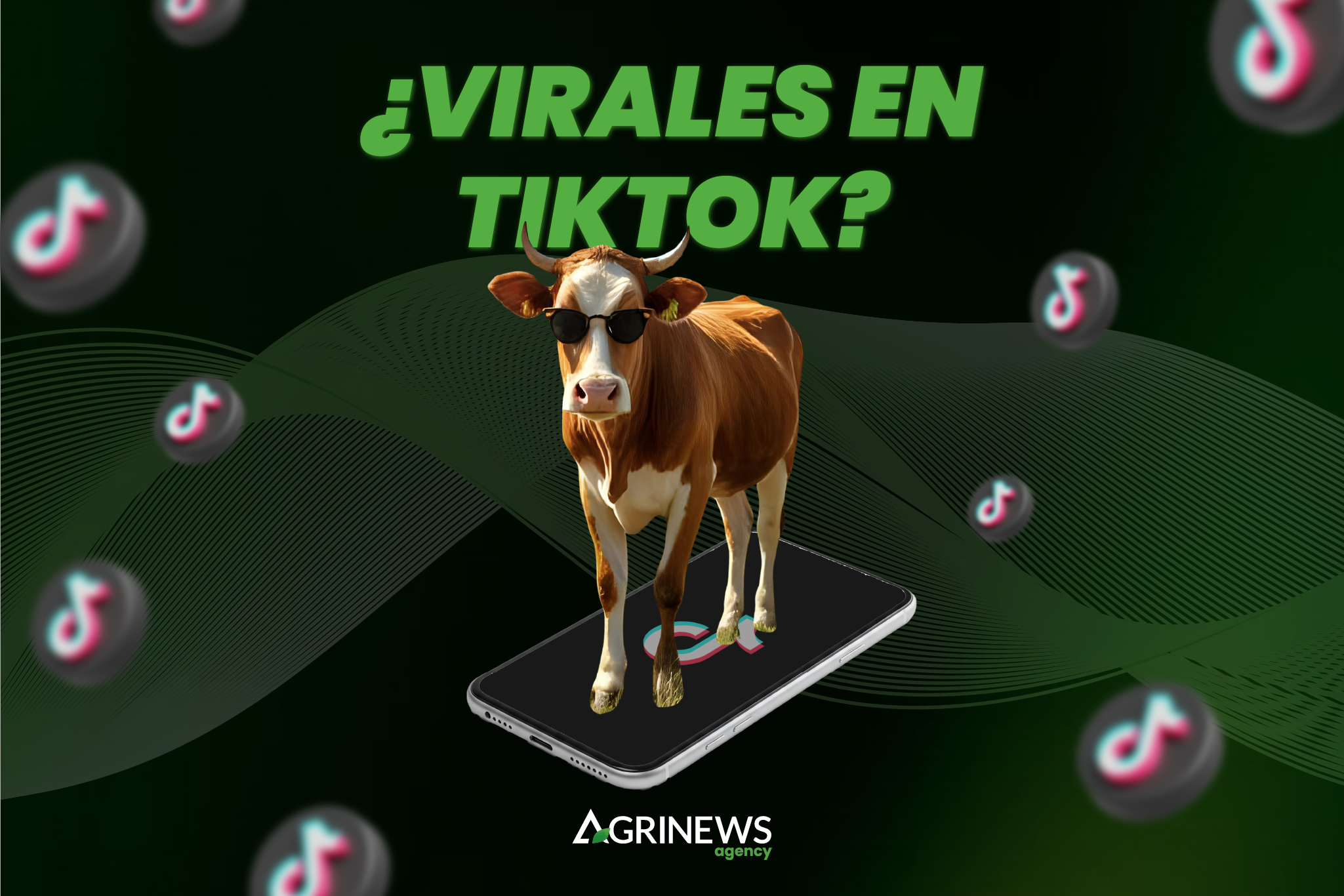 Tik Tok ads Ganadería